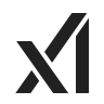 xAI API